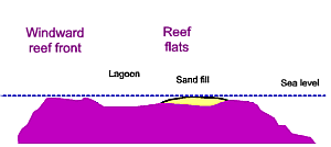 Sand cay forming on the rear side of a reef flat