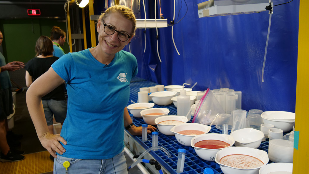 Dr Line Bay next to coral spawn in bowls in the SeaSim