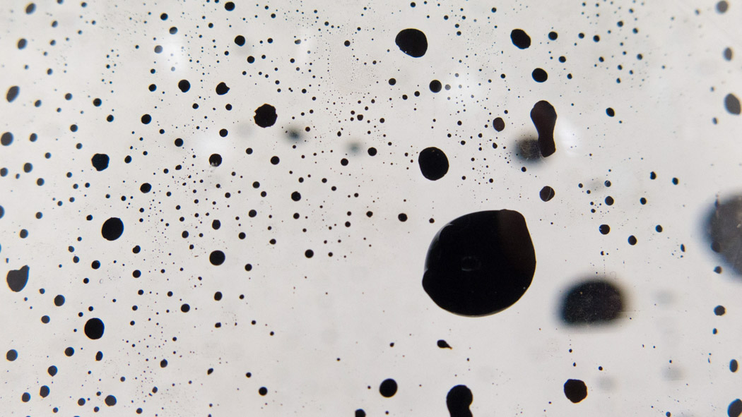 black oil spots under a microscope