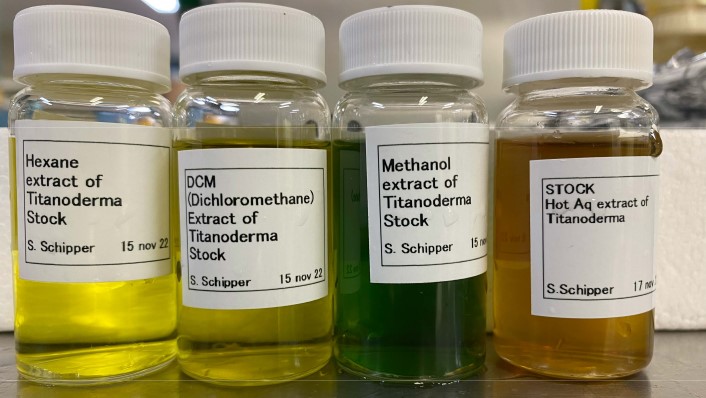 four small vials with white lids and labels sit on a bench, filled with different coloured liquids