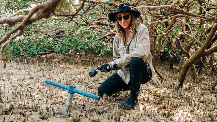 A woman crouches amongst mangrove roots holding a mallet whilst collecting mud samples