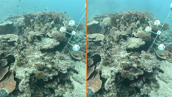 Two images of the same reef area, one is using a high resolution image, the other is using artificial intelligence software