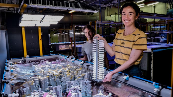 two people at a tank with tall piles of ceramic star shaped devices next to an aquarium