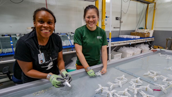 two people smiling at camera over seeding devices in tank