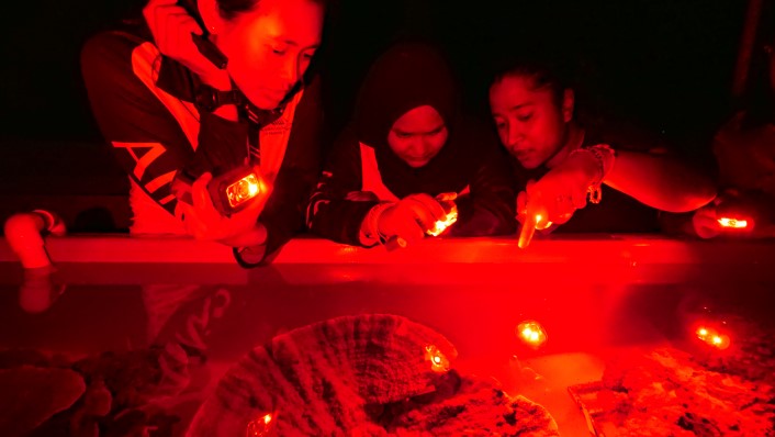 three people looking into an aquarium with corals under a red light