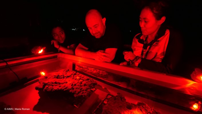 3 people looking at corals in a tank with red glow