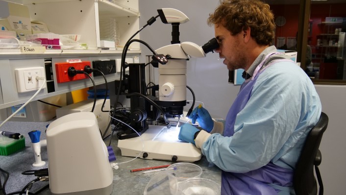 person in blue gown and gloves at microscope