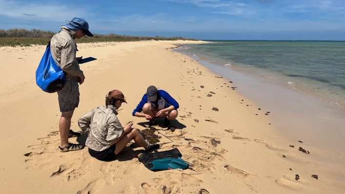 three people on a beach sitting and standing looking at various tools