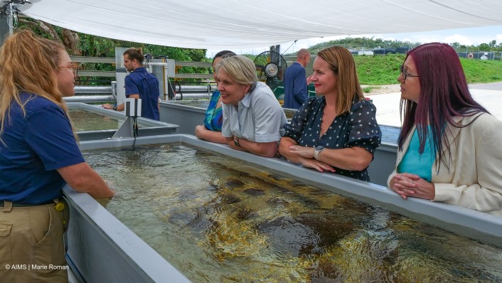 people standing over a large open topped tank with corals in it. They are smiling and talking.