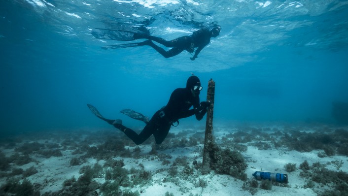 2 snoekllers in the water wearing wetsuits. on person is submerged and is touching a star picket with a black cylindrical instrument.