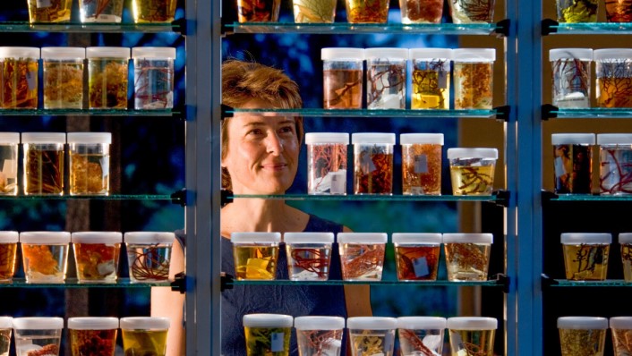 a woman stands smiling behind shelves full of jars with marine samples in them