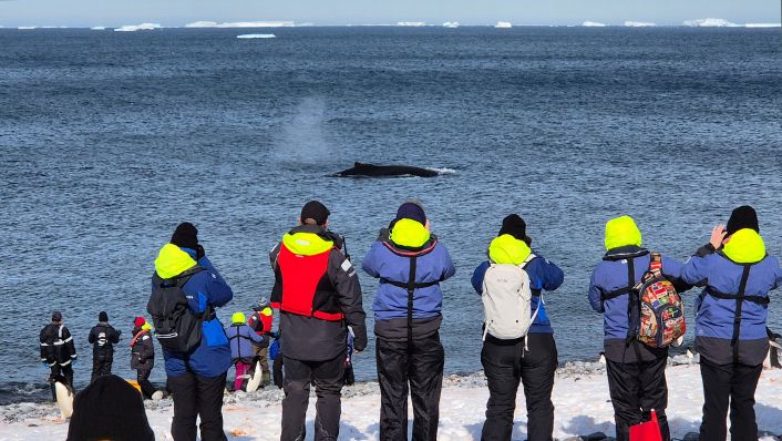 the back of a whale breaking through the surface of the water with a condensation cloud jsut above it. People with their backs to the camera are looking at the whale and taking photos. they are in cold weather gear