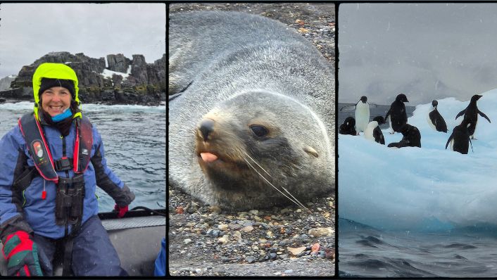 three photos in one frame - a woman on a small vessel with a wet weather jacket on, smiling at the camera, second photo and in the middle is a close up of a seal and third photo on the right is penguins on an iceberg