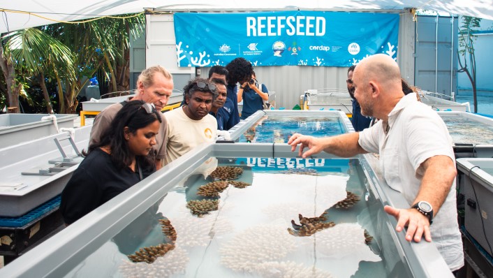 a group of people standing around and interested in a large tank with corals in it.