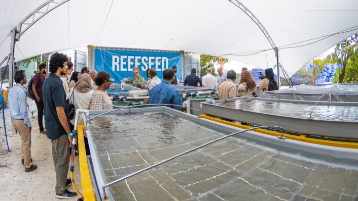 a wide view of an outside aquaria space with many people looking into the tanks. A banner says ReefSeed at the back