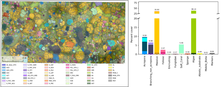 looking down on a coral reef with many colour superimposed over the top, as a classification system