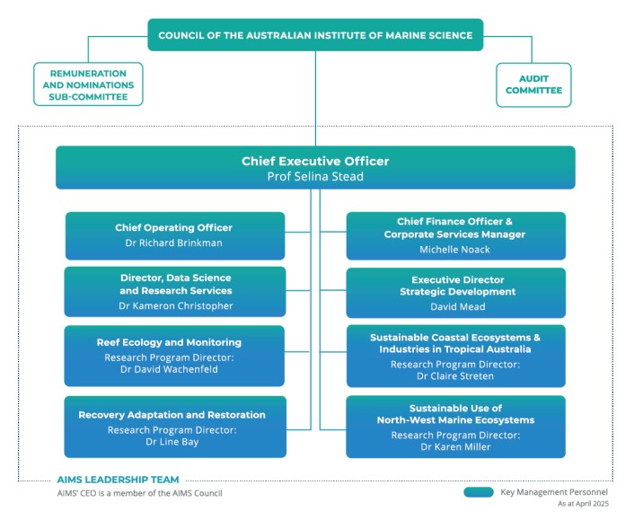 Hierarchical diagram of AIMS management structure