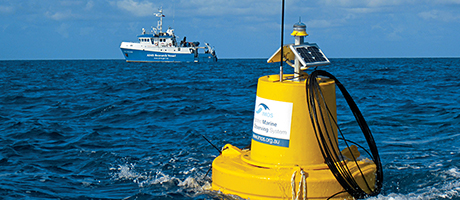 A healthy and resilient Great Barrier Reef