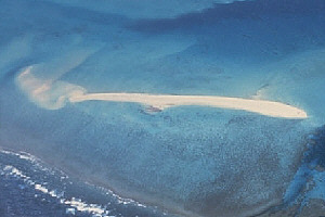 Sand Cay forming on top of a reef flat