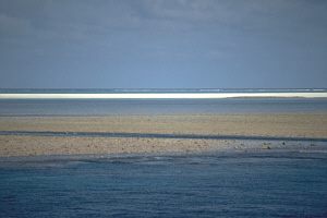 Sand Cay forming on top of a reef flat