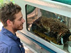 First coral spawning – an opportunity for reefs to rejuvenate