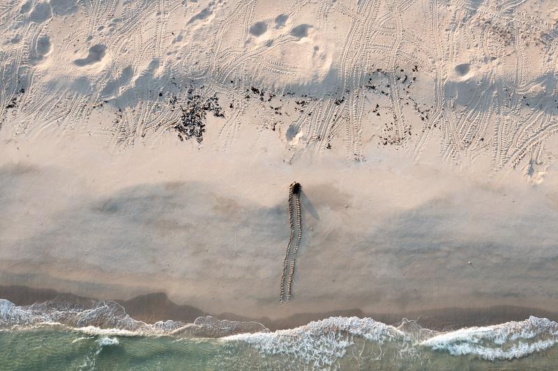 A turtle crawls onto a beach as seen from above