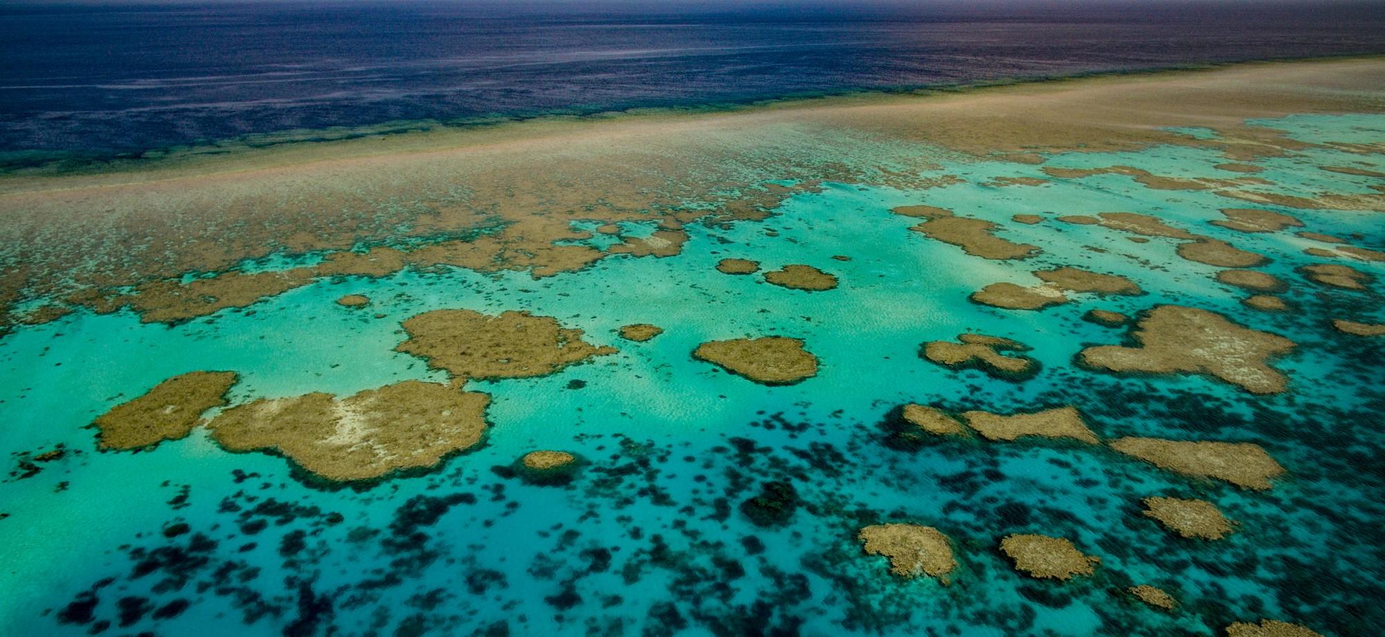 An aerial photo of Scott Reef showing many coral bommies in a clear water lagoon