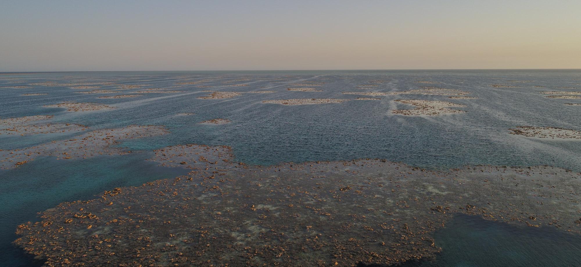 Aerial of intertidal areas at low tide where coral reef is exposed amongst pools of sea