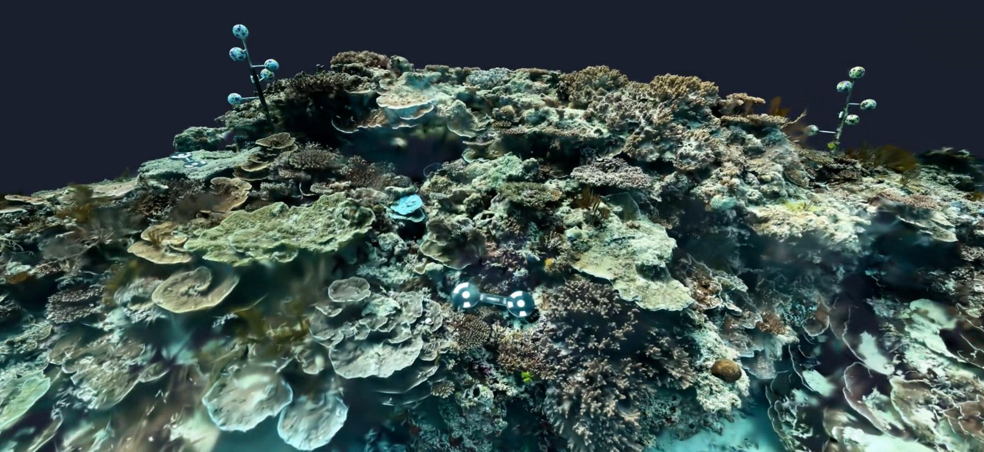 A coral reef is captured in photo-realistic detail using new AI technology