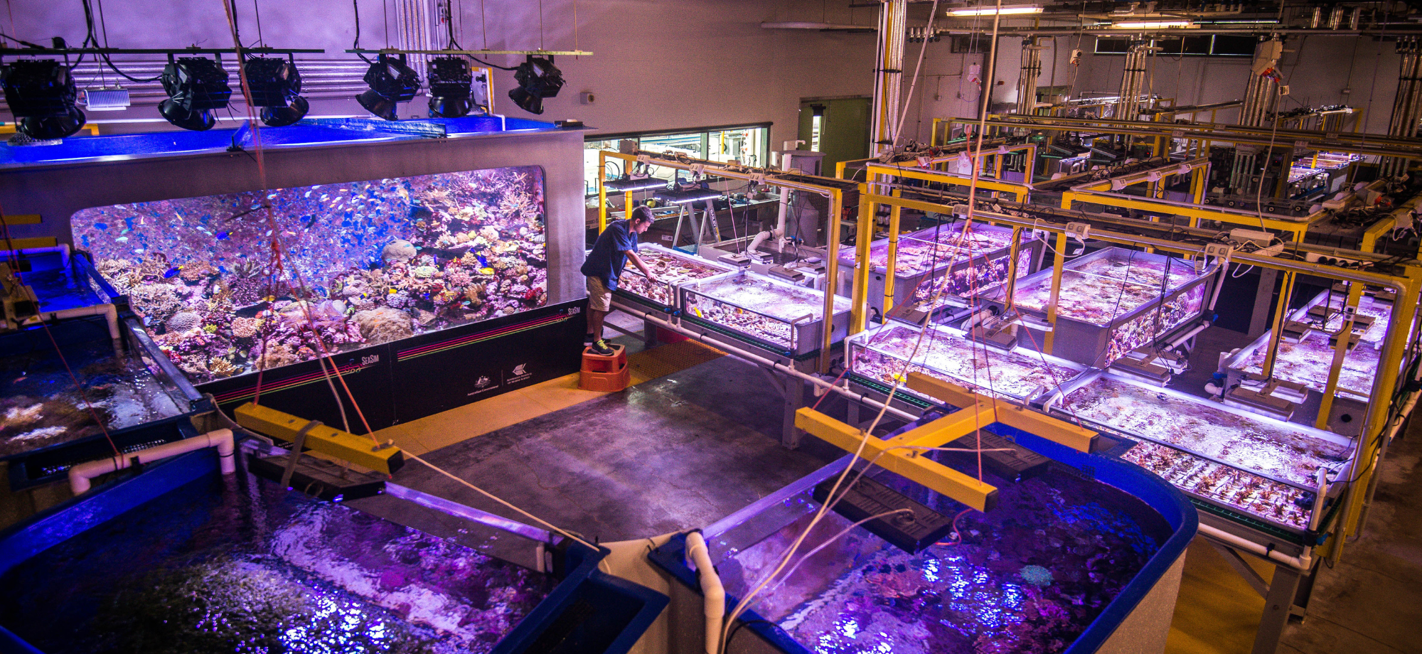 SeaSim tanks