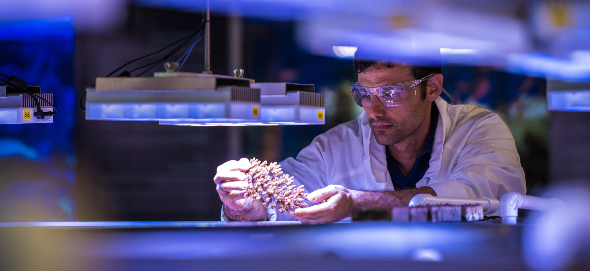 A researcher holding up coral in the SeaSim facility