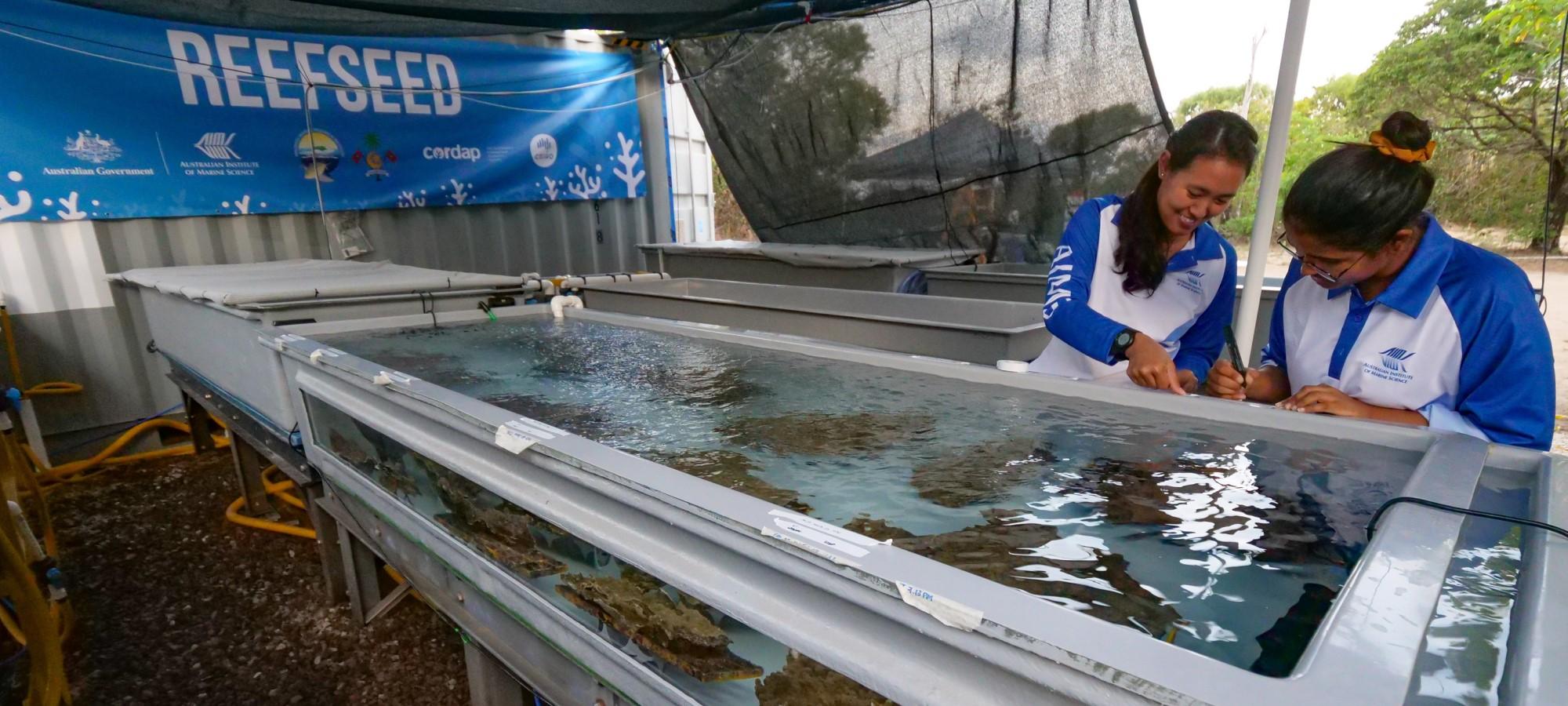 two people at end of large open topped aquarium with a reefseed banner on a wall net to the setup