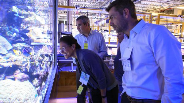 3 people looking at large marine aquarium