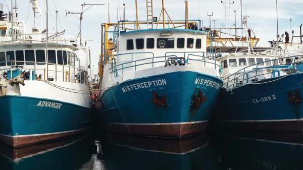 Ships in a harbour