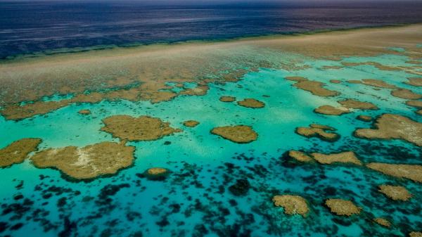 An aerial photo of Scott Reef showing many coral bommies in a clear water lagoon