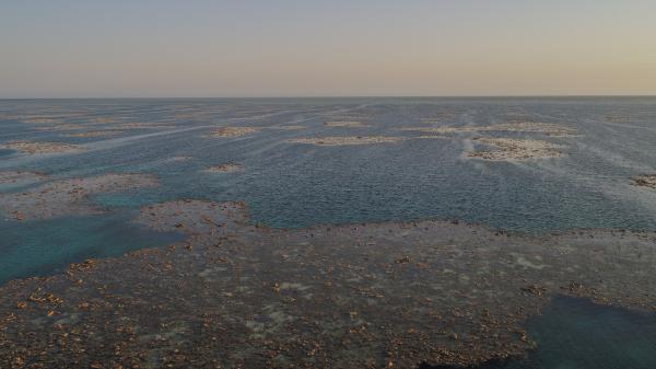 Aerial of intertidal areas at low tide where coral reef is exposed amongst pools of sea