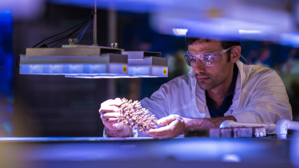 A researcher holding up coral in the SeaSim facility