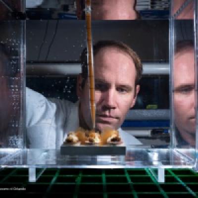 Man in white lab coat conducting experiment on coral